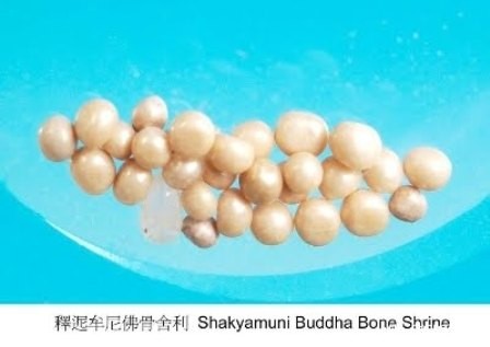 Sri Lanka: Sớm cung thỉnh xá lợi Phật từ Ấn Độ ảnh 1 Xa loi xuong phat thich ca mau ni.jpg