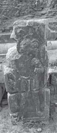 phe tich nam rai rac.jpg