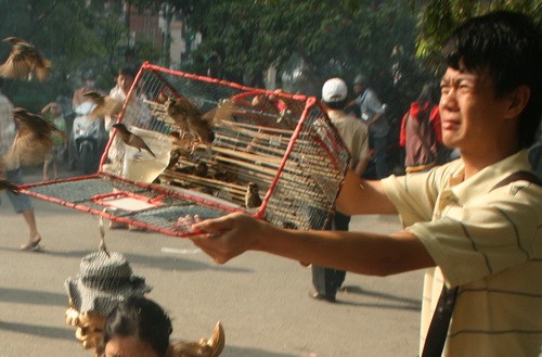 Lên chùa chiêm bái ngày lễ Vu lan ảnh 8