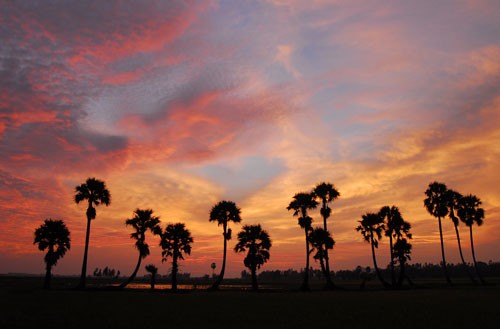 Teen mùa báo hiếu ảnh 1 Teen mùa báo hiếu ảnh 1