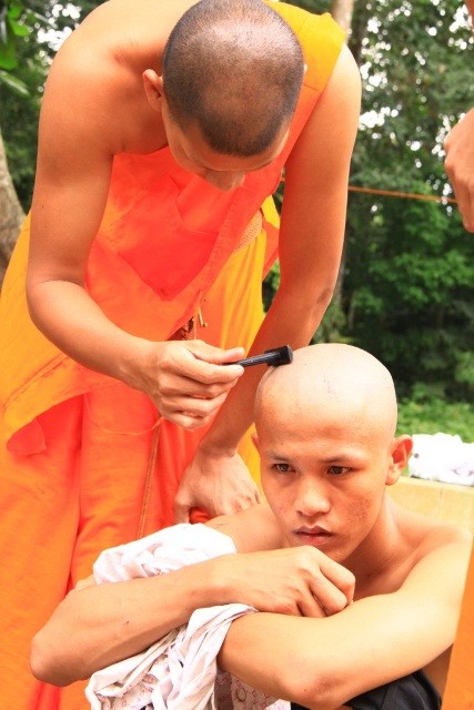 Nhập tu báo hiếu ảnh 1 anh 1.jpg