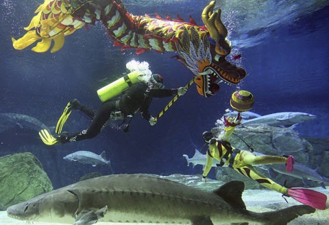 Không khí Tết len lỏi khắp Trung Quốc ảnh 10 Không khí Tết len lỏi khắp Trung Quốc ảnh 10