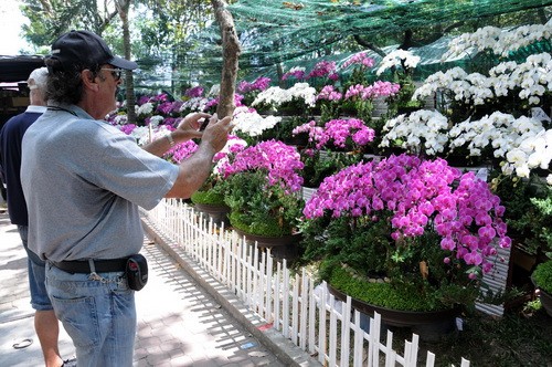 Du khách quốc tế thích thú chụp hình các loại hoa lan - Ảnh: Minh Đức Du khách quốc tế thích thú chụp hình các loại hoa lan - Ảnh: Minh Đức