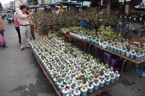 Một góc chợ hoa xuân ở bến Ninh Kiều (TP.Cần Thơ) Một góc chợ hoa xuân ở bến Ninh Kiều (TP.Cần Thơ)