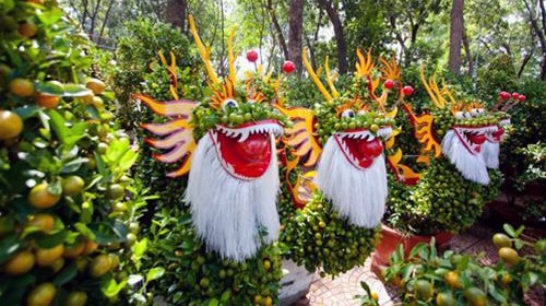 Những chậu quất hình rồng trở thành tâm điểm của chợ hoa Tết năm nay, với chiều dài 2,4m, chiều cao 1,6m do các nghệ nhân Bến Tre chăm sóc và thiết kế - Ảnh: Tiến Thành Những chậu quất hình rồng trở thành tâm điểm của chợ hoa Tết năm nay, với chiều dài 2,4m, chiều cao 1,6m do các nghệ nhân Bến Tre chăm sóc và thiết kế - Ảnh: Tiến Thành