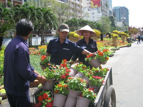 Chuyển hoa ra trang trí