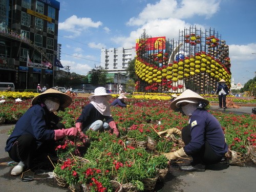 Nữ công nhân trang trí đường hoa