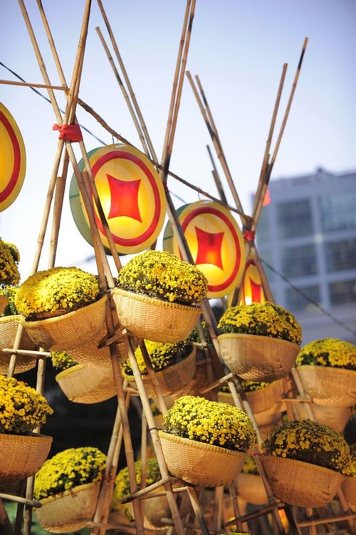 Tưng bừng khai mạc đường hoa Nguyễn Huệ ảnh 20 Tưng bừng khai mạc đường hoa Nguyễn Huệ ảnh 20