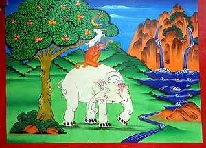 Hội Liên hữu PG Thế giới và vấn đề quyền động vật ảnh 1 elephant-monkey.jpg