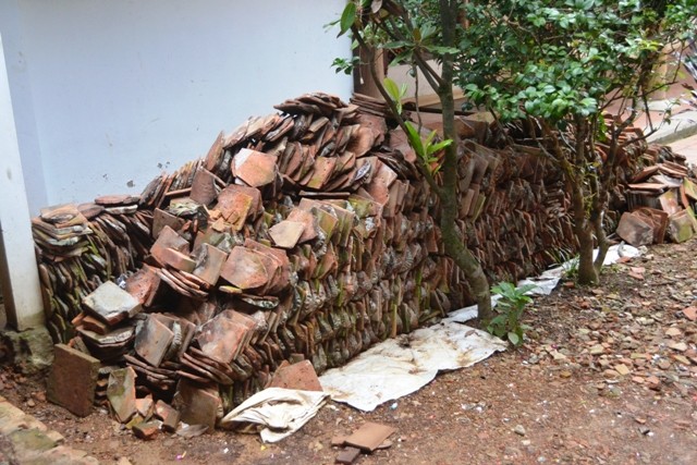 tram gian 123 (6).JPG