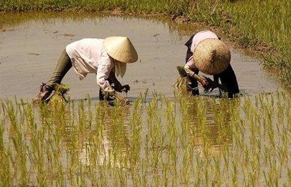 Viết cho mẹ ảnh 1 me yeu 2.jpg