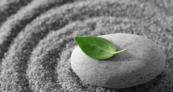 Meditation-leaf.jpg