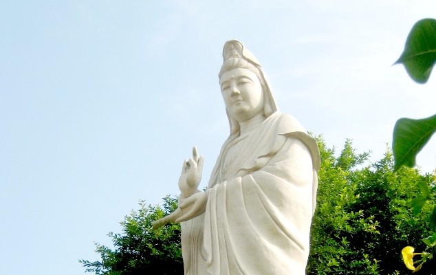 Lắng nghe & trị liệu ảnh 1 Picture 356.jpg