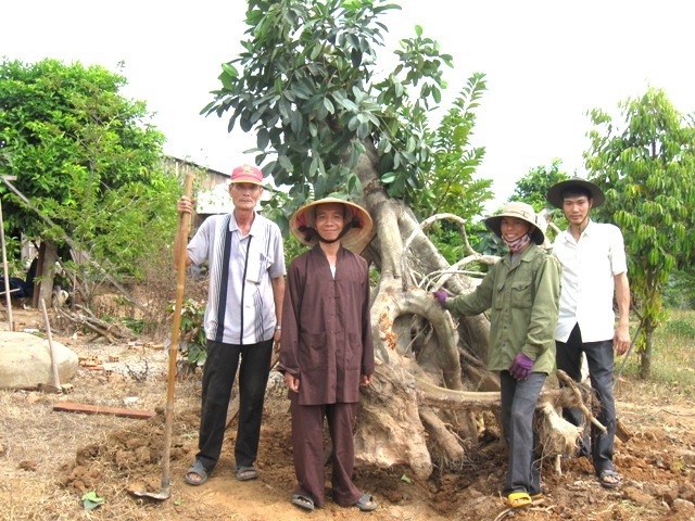 hình 2 Thầy Thích Pháp Huệ cùng Phật tử trồng cây.JPG