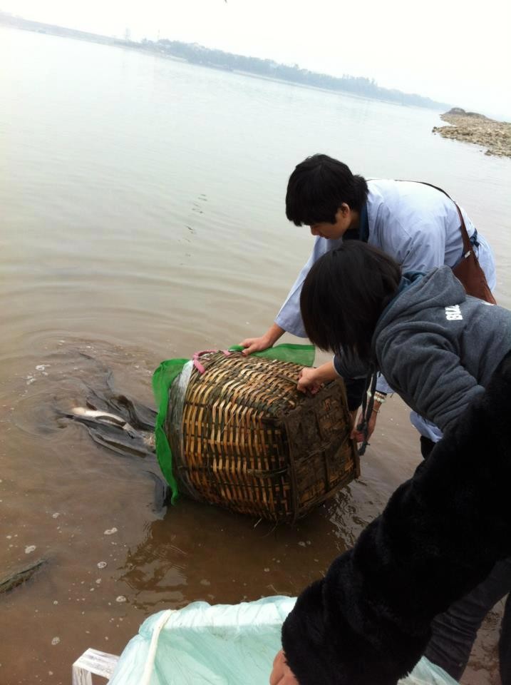 Nhóm Phật tử trẻ phóng sinh đầu năm ảnh 1 phong sah o HN.jpg