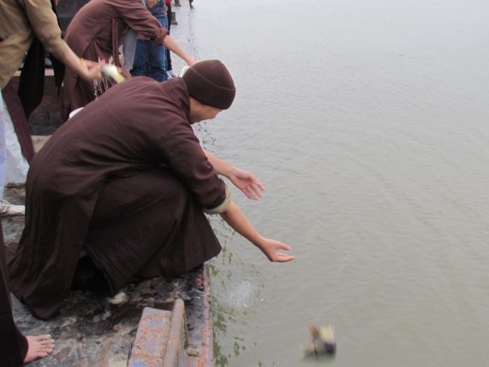 Phóng sinh hồi hướng tới liệt sĩ Trường Sa ảnh 2 IMG_0642_700x525.jpg