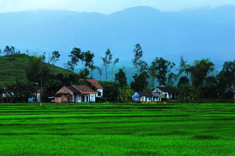 Hương tháng 3 ảnh 1 anh Nong son cua Nam Quang.jpg