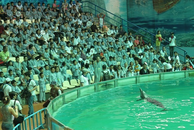 Be xem bieu dien ca heo.JPG