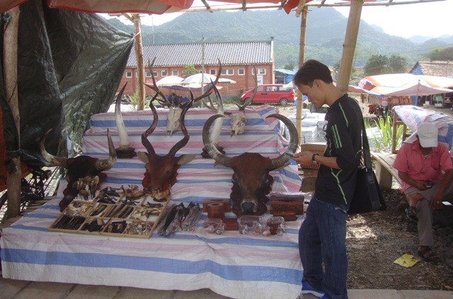 san pham dong vat.JPG