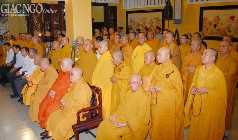 Anh DQ (7).jpg