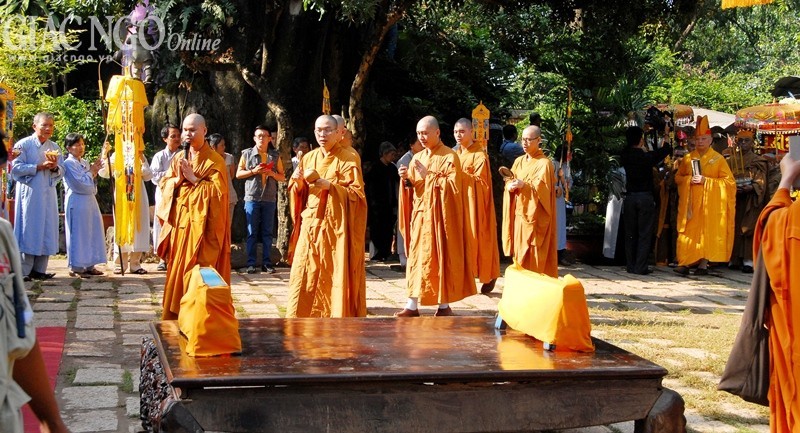 A NBT (18).jpg
