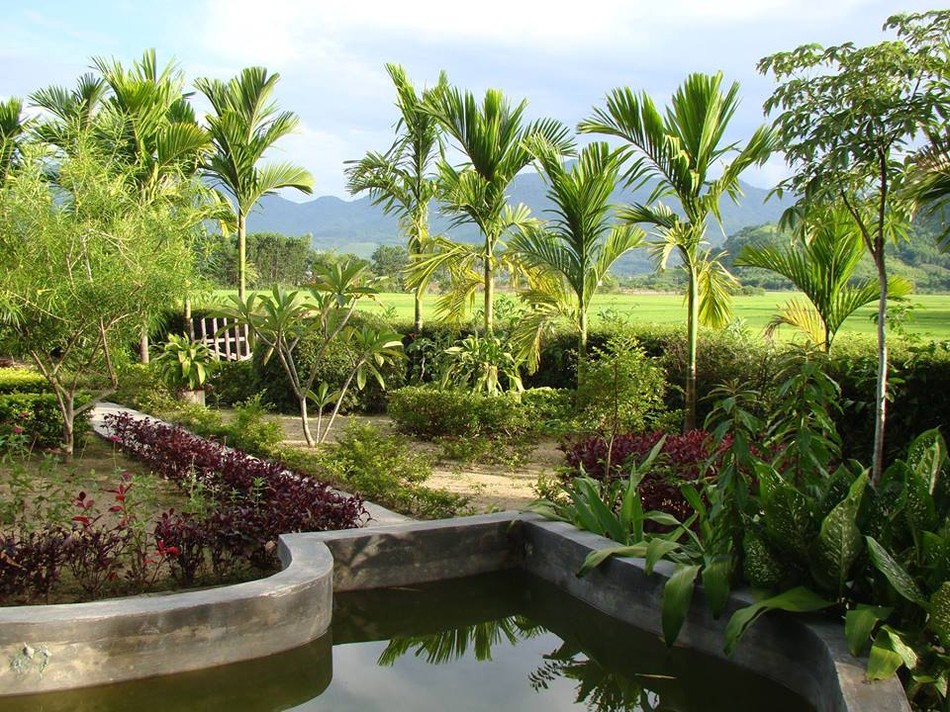 Sức hút của sự bình an ảnh 1 Yen binh.jpg