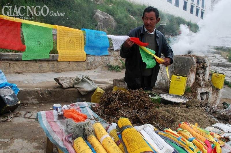 hinh cua GIANG PHONG (9).jpg