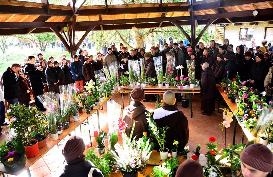 Đạo tràng Mai Thôn đón Tết ảnh 9 11.jpg