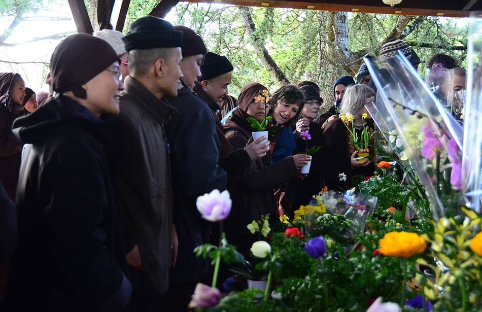 Đạo tràng Mai Thôn đón Tết ảnh 10 13.jpg