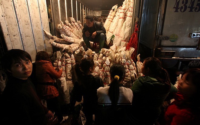 Mỗi đêm giáp Tết có hàng chục chiếc xe chở hoa như này và tiêu thụ một cách nhanh chóng trước khi mặt trời lên.