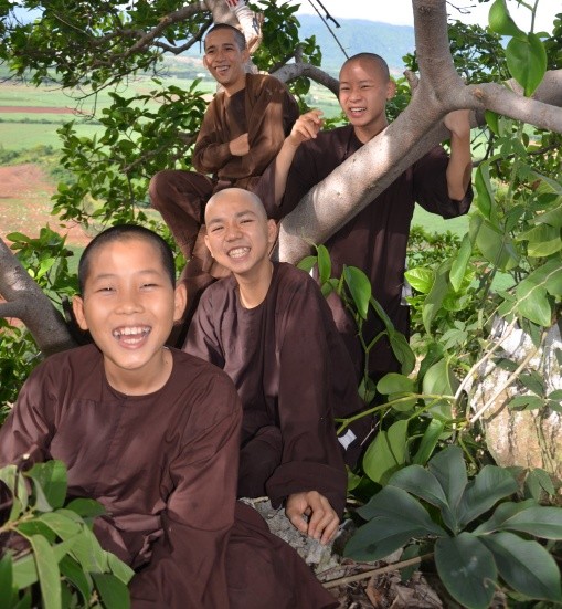 Chú tiểu xưa ảnh 1