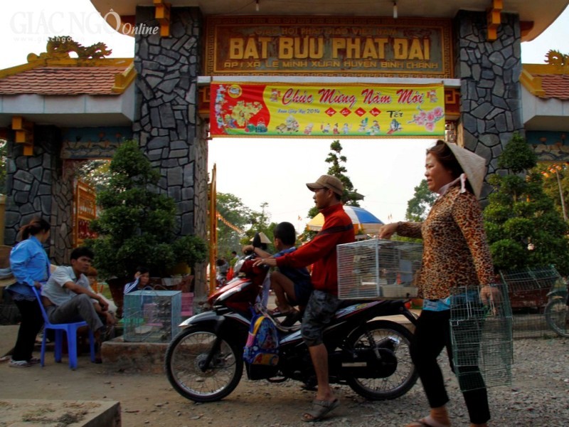 tương phat co dơn (6).jpg