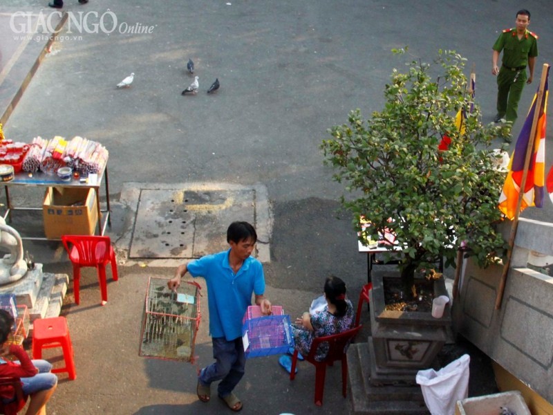 vinh nghiem q3 (3).jpg