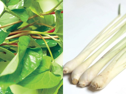 Diếp cá, củ sả... thường được dùng trong phương thuốc trị sởi - Ảnh: Khánh Vy - Hạ Huy