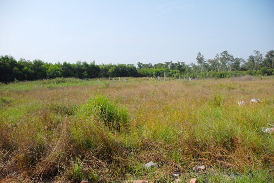 HVPG-Le Minh Xuan (10).JPG