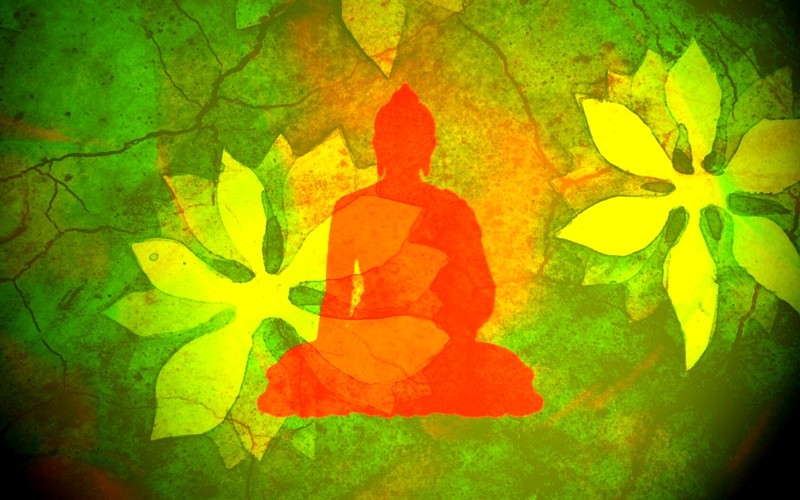 Chuyển hóa sân hận ảnh 1 1 phat hoc.jpg