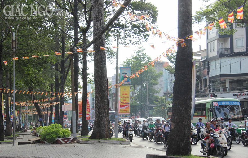 khong khi phat dan (39).jpg