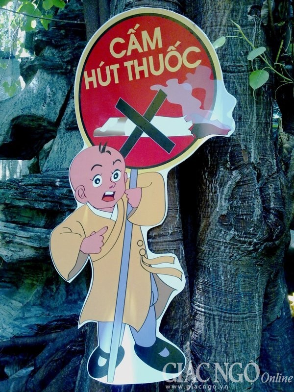 Đẹp hơn nơi cửa chùa ảnh 12 anh 8.jpg