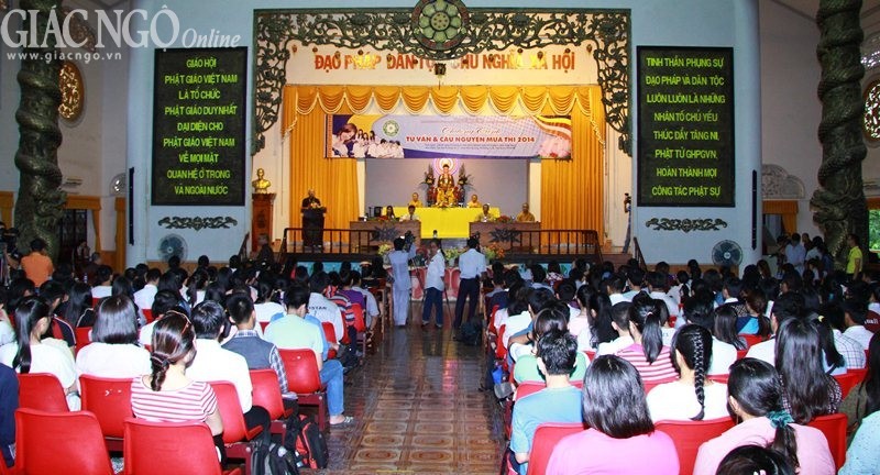 Anh VG (4).jpg