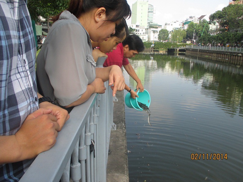 anh tu linh.jpg