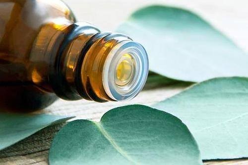 Bốn cách đơn giản giúp phòng chống cảm cúm ảnh 1 dau khuynh diep.jpg