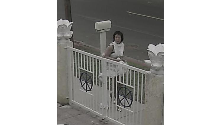 1vch 1.jpg