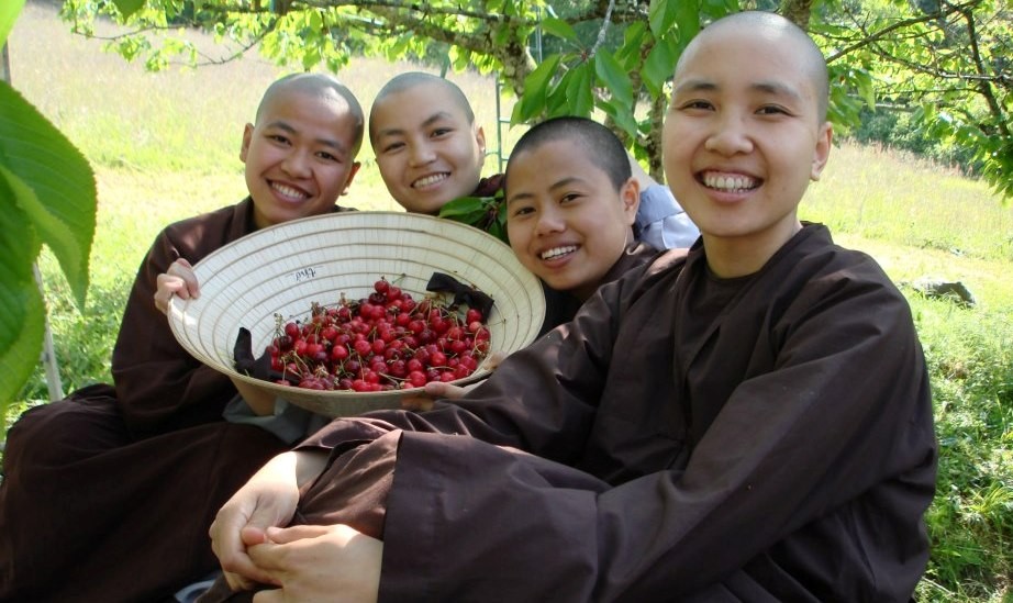 Chánh niệm tỉnh thức trong đời sống hiện đại ảnh 2 chanh niem 2.jpg