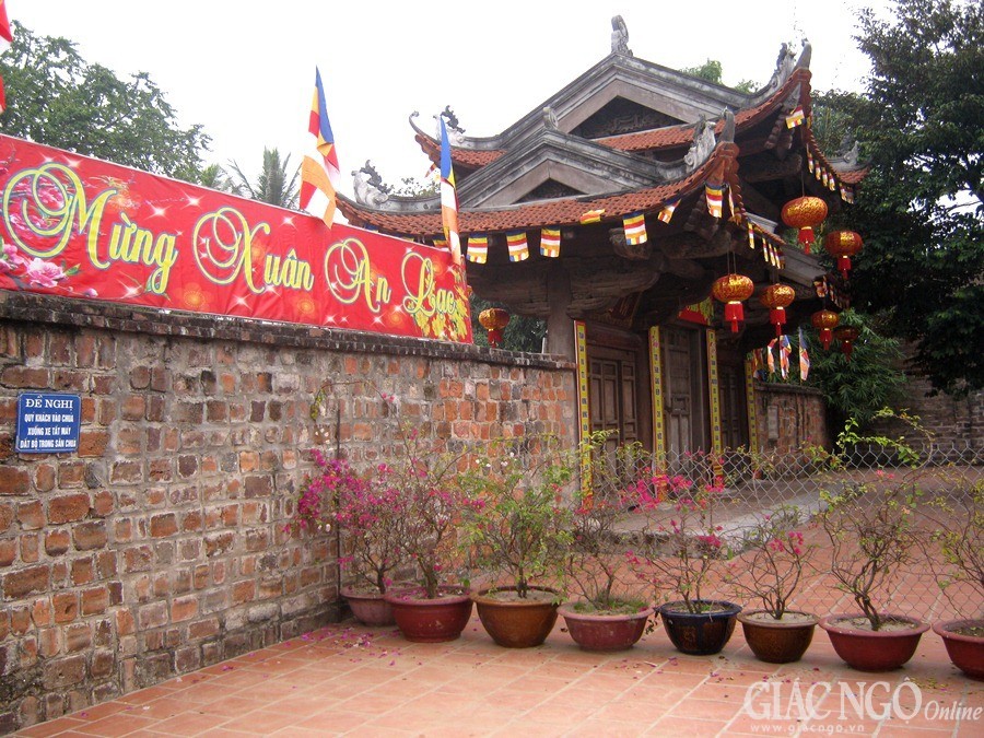 Hà Nội: Các chùa trang hoàng đón Xuân ảnh 11 ANH CHu (9).jpg