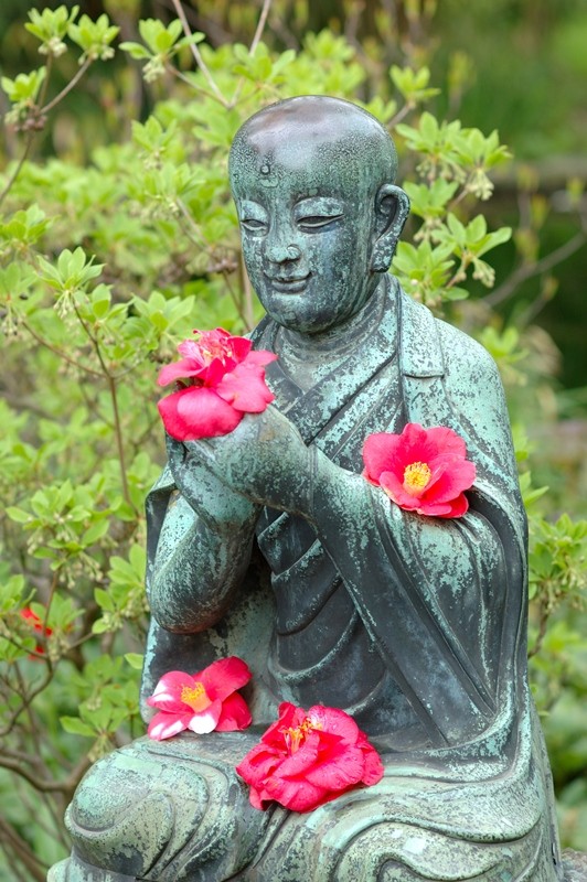 Thân tâm đều vui ảnh 1 phathoc 1.jpg