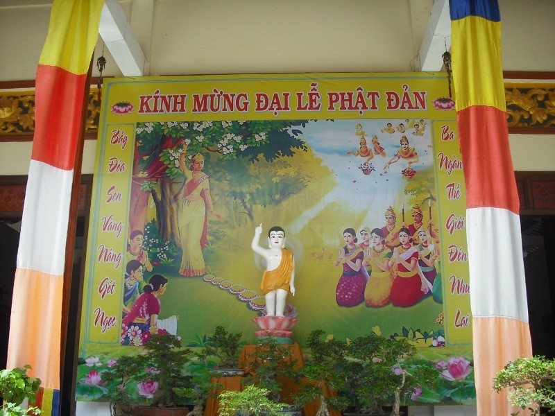 Đất "sen hồng" đón mừng Đản sinh ảnh 3 dthap 3.jpg