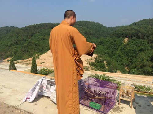 Tang lễ nhạc sĩ An Thuyên theo tinh thần nhà Phật ảnh 3 nhsi An Thuyn 2.jpg