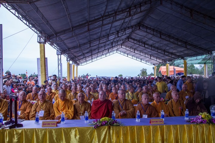 IMG_0736 (Small).jpg