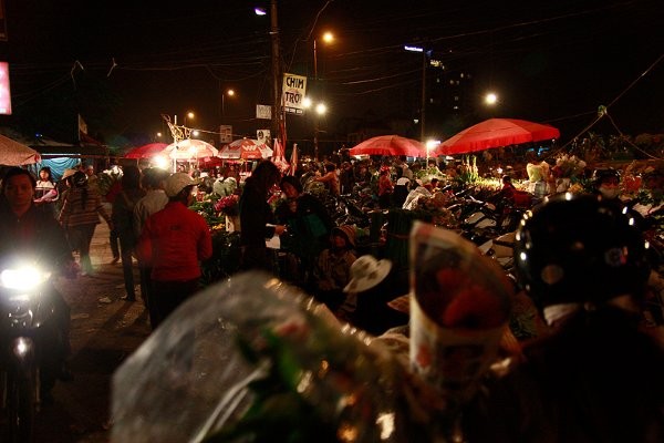 Thăm chợ hoa Quảng Bá những ngày sắp Tết ảnh 2 M_T G_C CH_ HOA __M QU_NG B_ H_ N_I.jpg