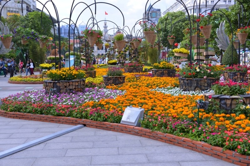 ĐHoa Nguyen Hue - chieu 28 Tet (5).JPG